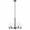 Best Pirce π Kichler Lighting Shailene 5-Light Black Transitional Chandelier With Satin Etched Glass Shade π 1 Best Pirce π Kichler Lighting Shailene 5-Light Black Transitional Chandelier With Satin Etched Glass Shade π -Kichler Lighting Shop unnamed file 1268