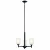 Top 10 π Kichler Lighting Shailene 3-Light Black Transitional Mini Chandelier With Satin Etched Glass Shade π 2 Top 10 π Kichler Lighting Shailene 3-Light Black Transitional Mini Chandelier With Satin Etched Glass Shade π -Kichler Lighting Shop unnamed file 1530