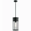 Deals 😀 Kichler Lighting Kichler Camillo 18 Inch 1 Light Hanging Pendant With Clear Seeded Glass In Black ❤️ -Kichler Lighting Shop unnamed file 1762