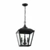 Best Sale 👍 Kichler Lighting Dame 19 Inch 2-Light Foyer Pendant Textured Black With Clear Glass 🌟 -Kichler Lighting Shop unnamed file 2581