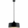 Deals ✔️ Kichler Lighting Elias 1-Light Pendant/Semi Flush Light Black 🌟 -Kichler Lighting Shop unnamed file 2783