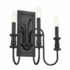 New 💯 Kichler Lighting Karthe 13 Inch 3-Light Wall Sconce Black 🔔 -Kichler Lighting Shop unnamed file 3799