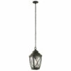 Wholesale 😉 Kichler Lighting Tangier Collection 1-light Olde Bronze Outdoor Pendant 🧨