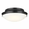 Hot Sale ✨ Kichler Lighting Bretta 17.75 In. 3-Light Black Flush Mount Light 🎉 -Kichler Lighting Shop unnamed file 6272