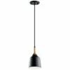 Top 10 ⌛ Kichler Lighting Danika Black 1-Light Mini Pendant ❤️ -Kichler Lighting Shop unnamed file 6664